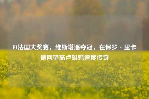 F1法国大奖赛,维斯塔潘夺冠,在保罗·里卡德回望高卢雄鸡速度传奇