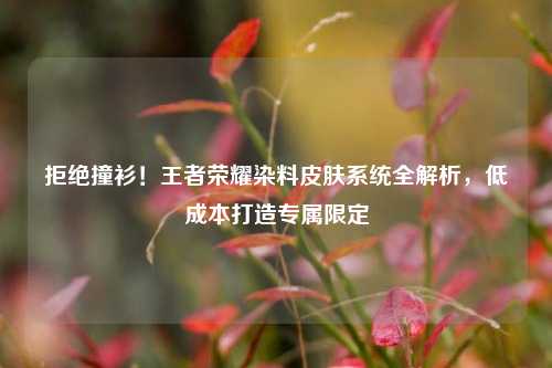 拒绝撞衫！王者荣耀染料皮肤系统全解析，低成本打造专属限定