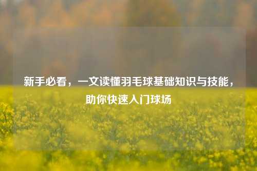 新手必看,一文读懂羽毛球基础知识与技能,助你快速入门球场