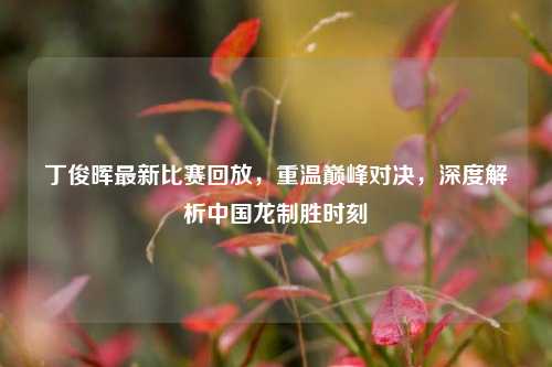 丁俊晖最新比赛回放,重温巅峰对决,深度解析中国龙制胜时刻