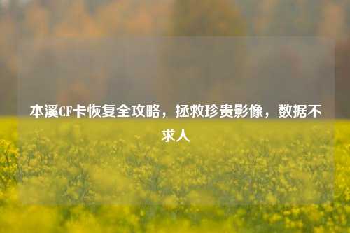 本溪CF卡恢复全攻略，拯救珍贵影像，数据不求人