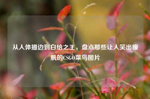 从人体描边到白给之王，盘点那些让人笑出腹肌的CSGO菜鸟图片