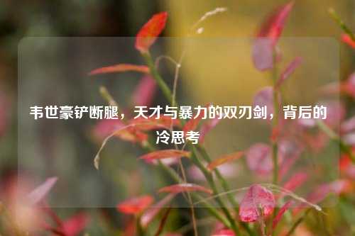 韦世豪铲断腿，天才与暴力的双刃剑，背后的冷思考