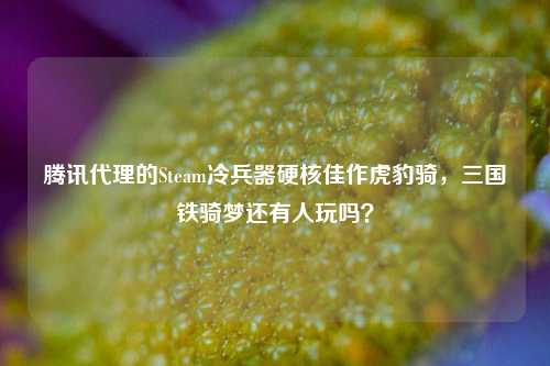 腾讯代理的Steam冷兵器硬核佳作虎豹骑，三国铁骑梦还有人玩吗？